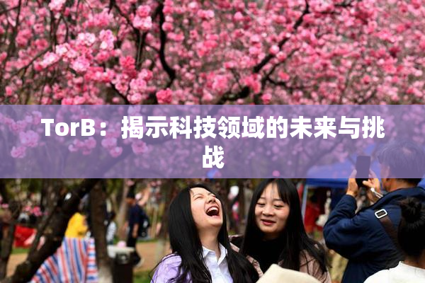 TorB：揭示科技领域的未来与挑战