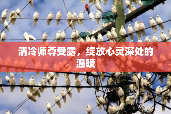 清冷师尊受露，绽放心灵深处的温暖