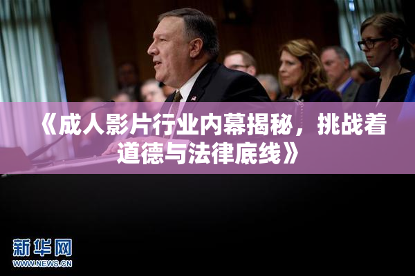 《成人影片行业内幕揭秘，挑战着道德与法律底线》