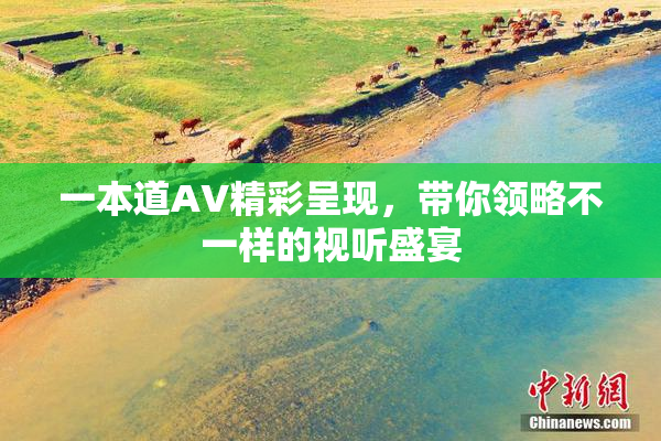 一本道AV精彩呈现，带你领略不一样的视听盛宴