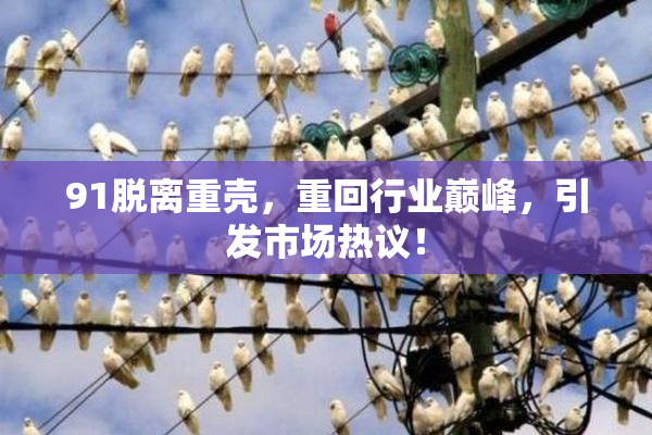 91脱离重壳，重回行业巅峰，引发市场热议！