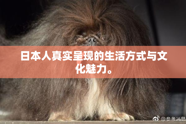 日本人真实呈现的生活方式与文化魅力。
