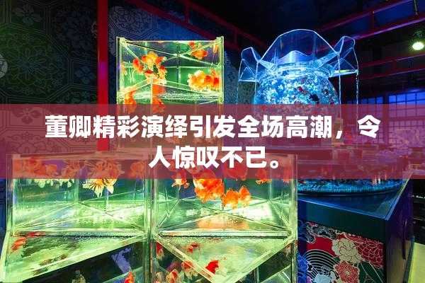 董卿精彩演绎引发全场高潮，令人惊叹不已。