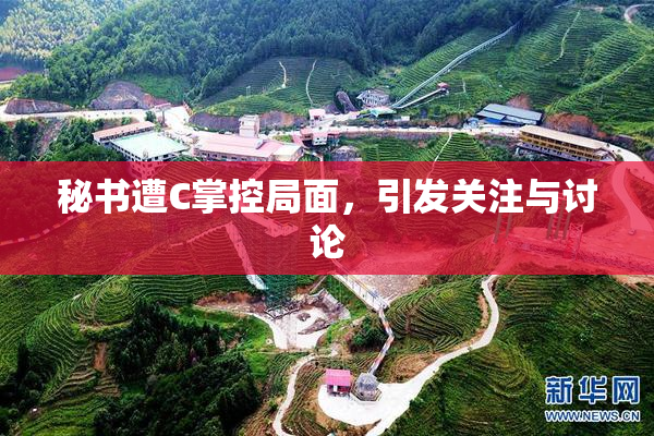 秘书遭C掌控局面，引发关注与讨论