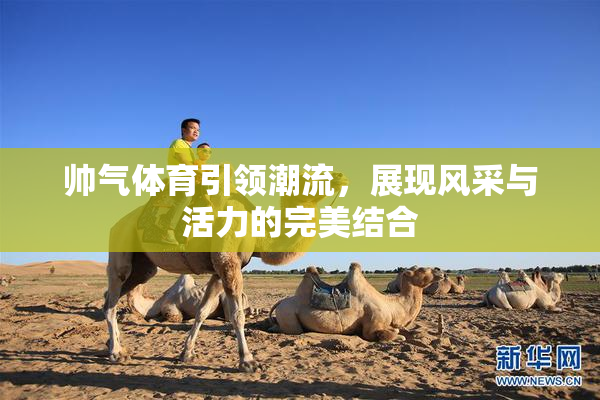 帅气体育引领潮流，展现风采与活力的完美结合