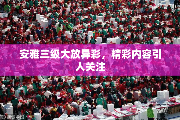 安雅三级大放异彩，精彩内容引人关注