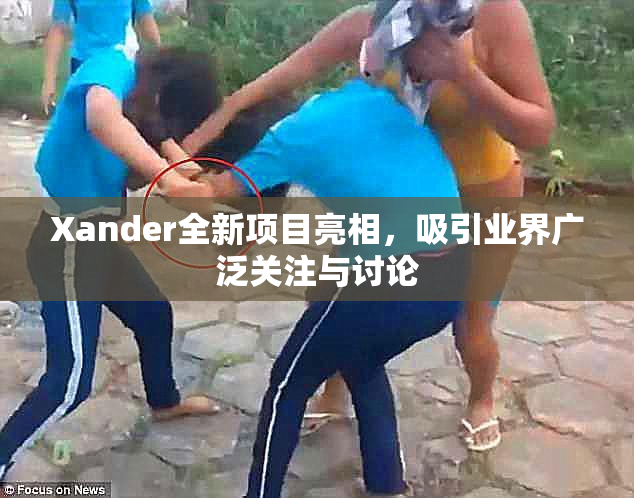Xander全新项目亮相，吸引业界广泛关注与讨论