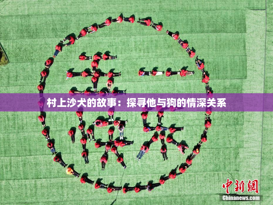 村上沙犬的故事：探寻他与狗的情深关系