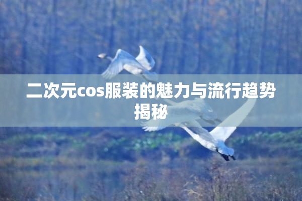 二次元cos服装的魅力与流行趋势揭秘