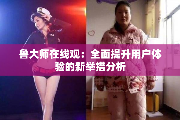 鲁大师在线观：全面提升用户体验的新举措分析