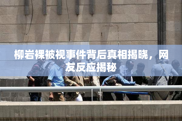 柳岩裸被视事件背后真相揭晓，网友反应揭秘