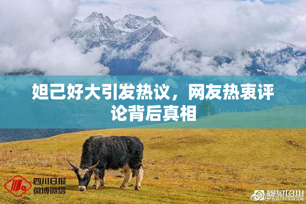 妲己好大引发热议，网友热衷评论背后真相