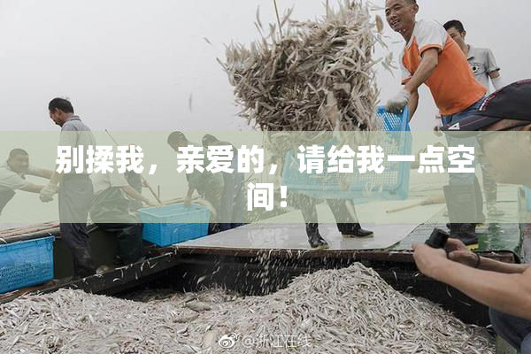 别揉我，亲爱的，请给我一点空间！