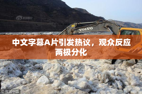中文字幕A片引发热议，观众反应两极分化