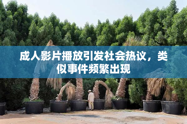 成人影片播放引发社会热议，类似事件频繁出现