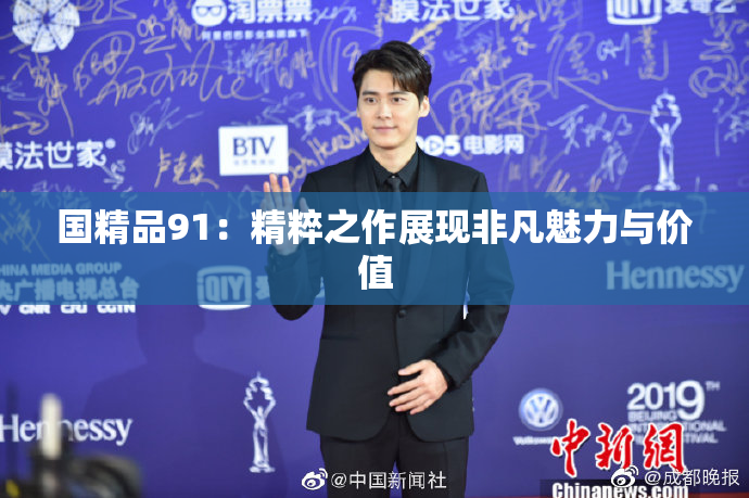 国精品91：精粹之作展现非凡魅力与价值