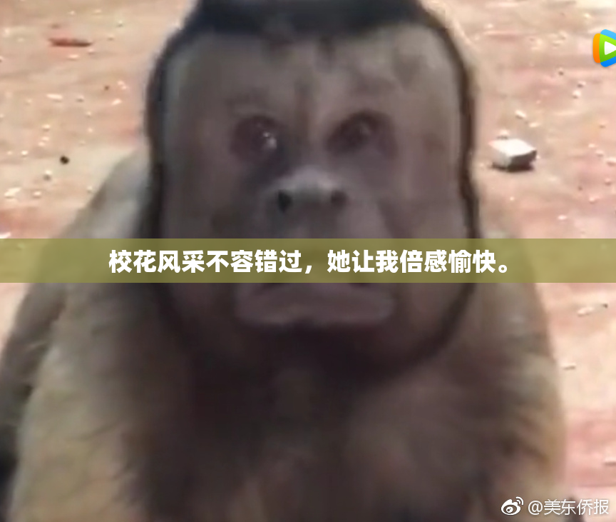校花风采不容错过，她让我倍感愉快。