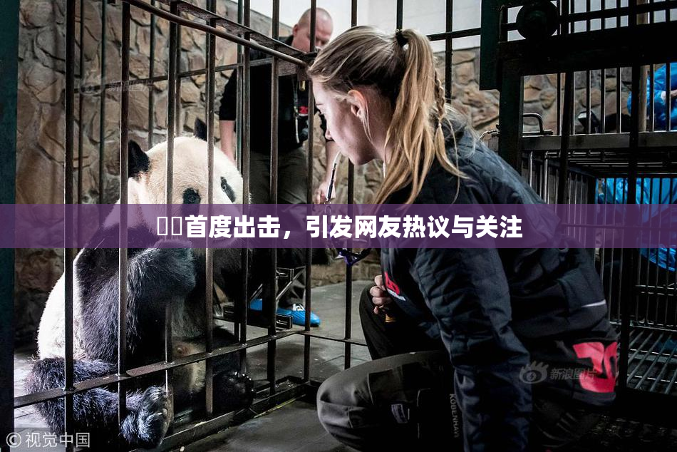 妺妺首度出击，引发网友热议与关注