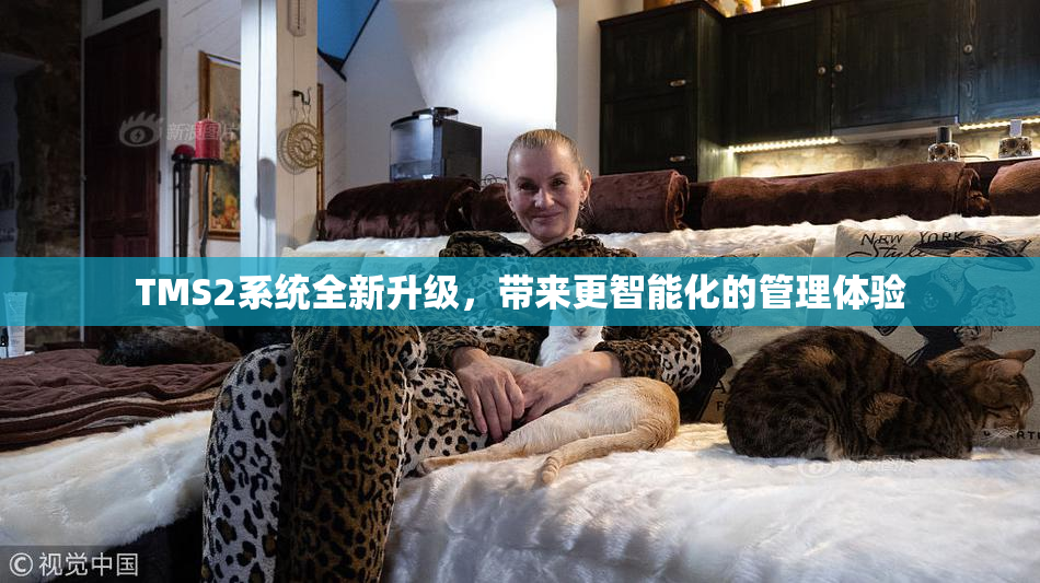 TMS2系统全新升级，带来更智能化的管理体验