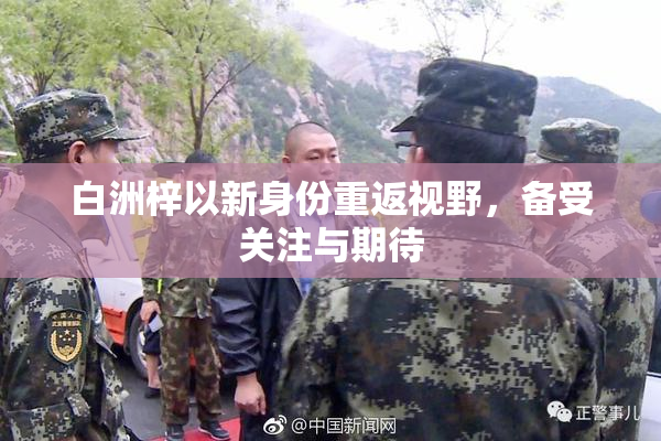 白洲梓以新身份重返视野，备受关注与期待