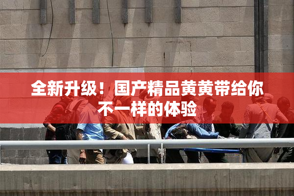 全新升级！国产精品黄黄带给你不一样的体验