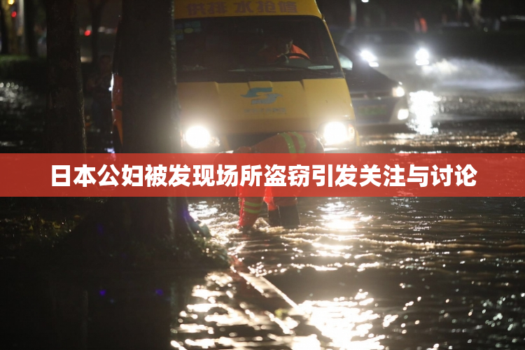 日本公妇被发现场所盗窃引发关注与讨论