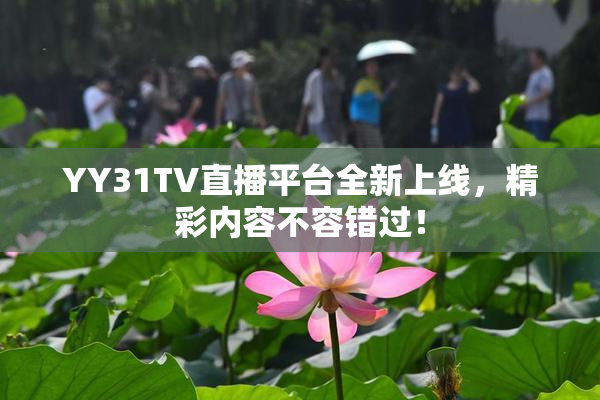 YY31TV直播平台全新上线，精彩内容不容错过！