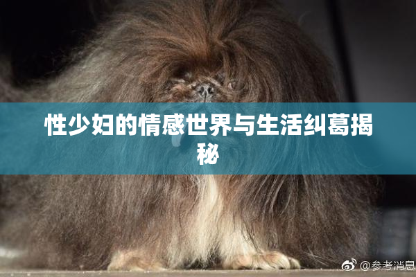 性少妇的情感世界与生活纠葛揭秘