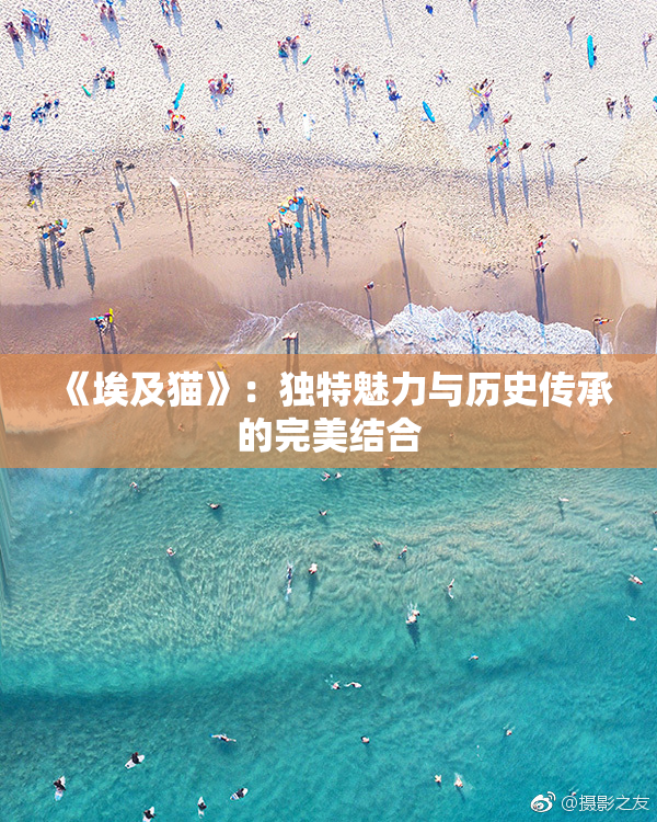 《埃及猫》：独特魅力与历史传承的完美结合