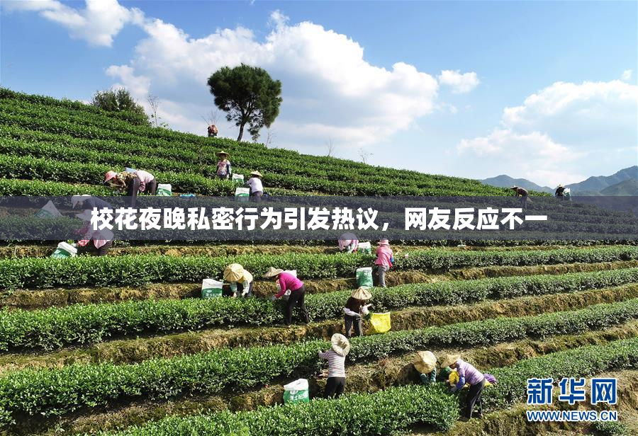 校花夜晚私密行为引发热议，网友反应不一