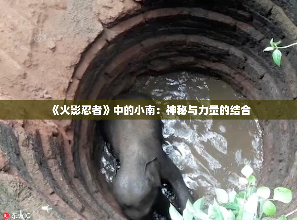 《火影忍者》中的小南：神秘与力量的结合