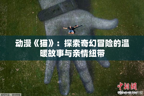 动漫《猫》：探索奇幻冒险的温暖故事与亲情纽带