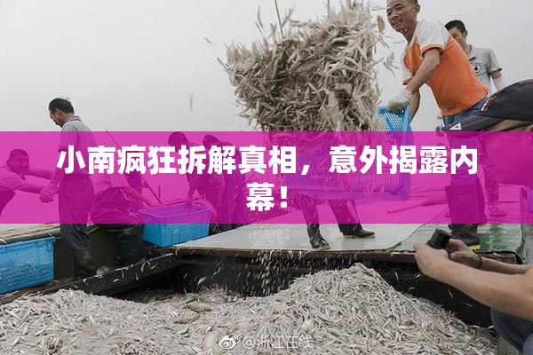 小南疯狂拆解真相，意外揭露内幕！