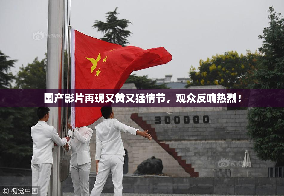 国产影片再现又黄又猛情节，观众反响热烈！