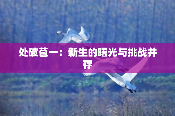 处破苞一：新生的曙光与挑战并存