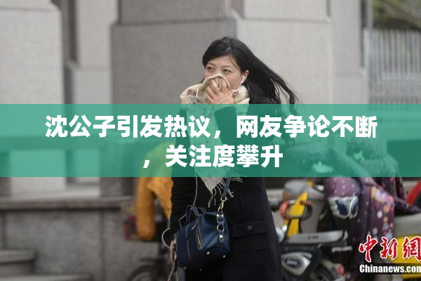 沈公子引发热议，网友争论不断，关注度攀升
