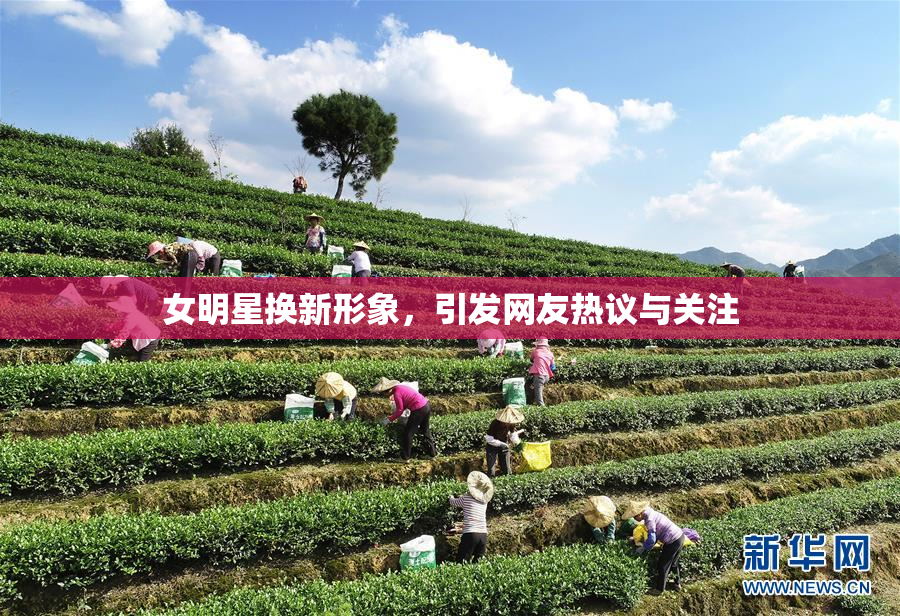 女明星换新形象，引发网友热议与关注