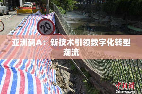 亚洲码A：新技术引领数字化转型潮流