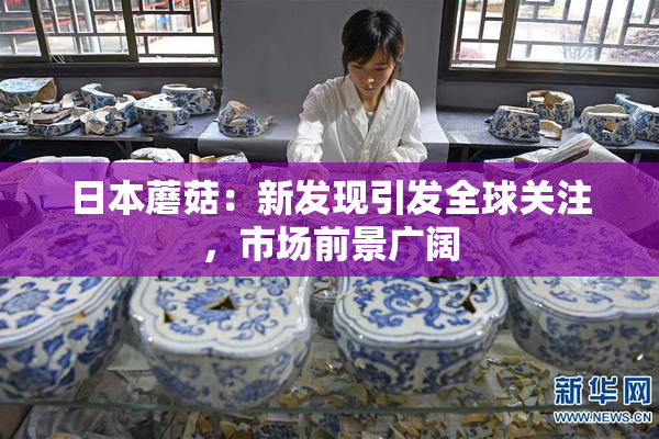 日本蘑菇：新发现引发全球关注，市场前景广阔
