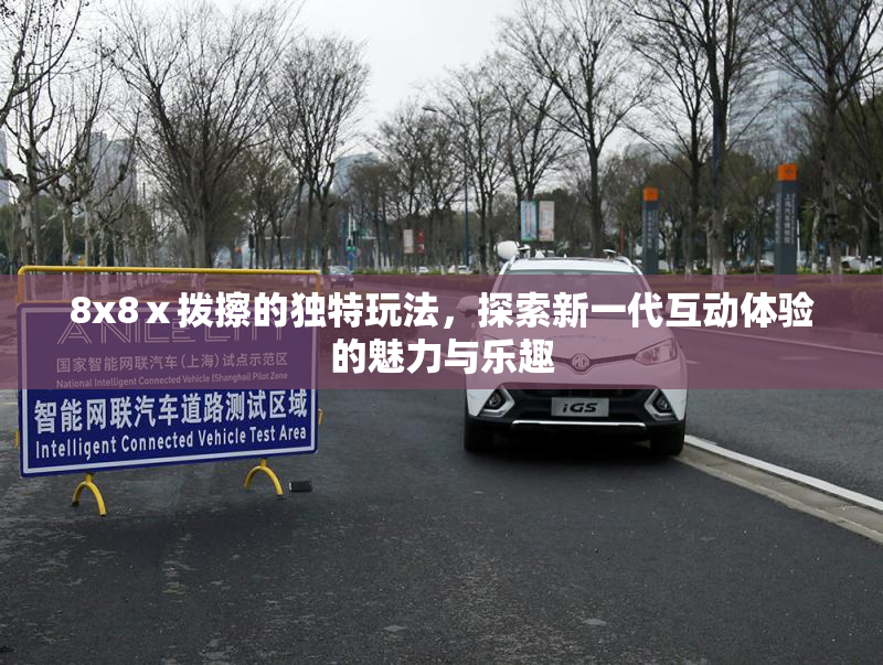 8x8ⅹ拨擦的独特玩法，探索新一代互动体验的魅力与乐趣