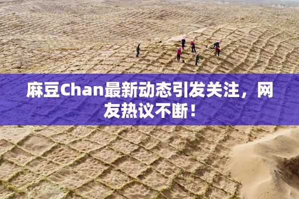 麻豆Chan最新动态引发关注，网友热议不断！