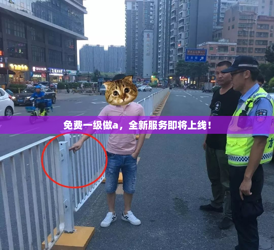 免费一级做a，全新服务即将上线！