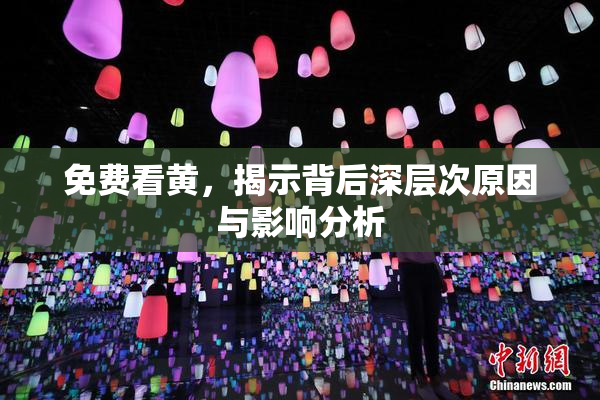 免费看黄，揭示背后深层次原因与影响分析