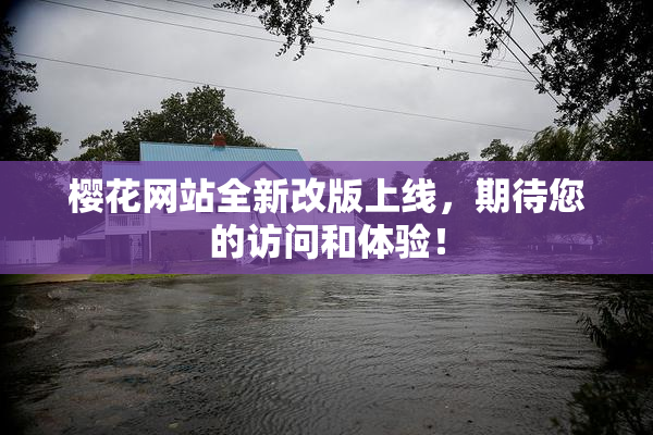 樱花网站全新改版上线，期待您的访问和体验！