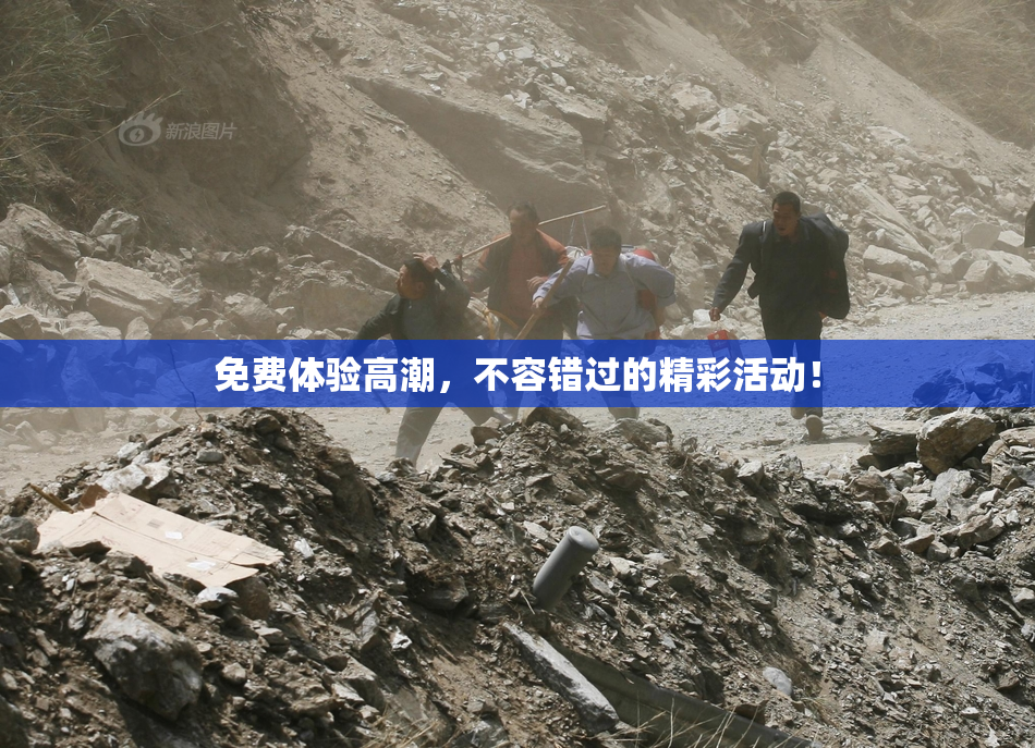 免费体验高潮，不容错过的精彩活动！