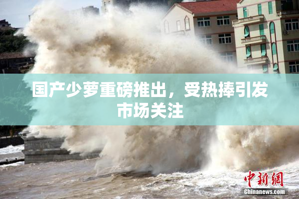 国产少萝重磅推出，受热捧引发市场关注