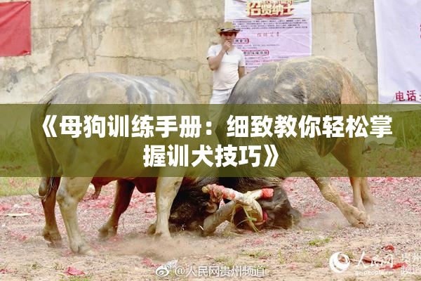 《母狗训练手册：细致教你轻松掌握训犬技巧》