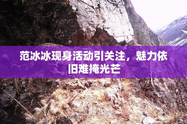 范冰冰现身活动引关注，魅力依旧难掩光芒