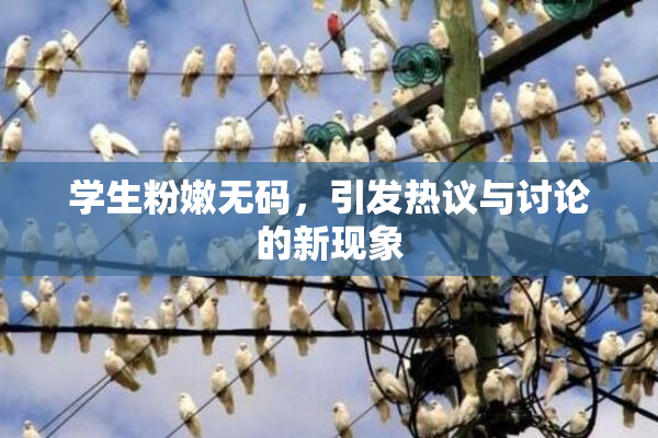 学生粉嫩无码，引发热议与讨论的新现象