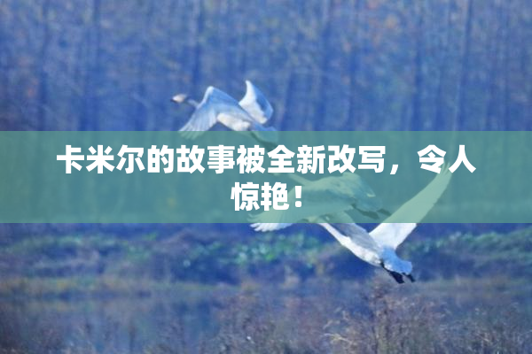 卡米尔的故事被全新改写，令人惊艳！